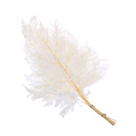 Sukhotzet "Paporotnik", White, 10 pcs. In the package-5