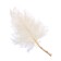 Sukhotzet "Paporotnik", White, 10 pcs. In the package