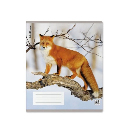 Notebook of 48 sheets in the Erichkrause cage, with a plastic cover, 5V, mix-8