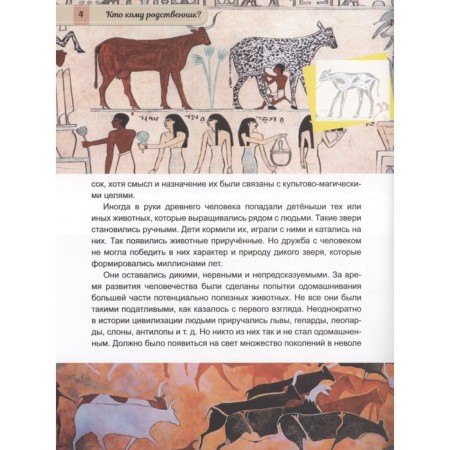 Animals from wild to home-3