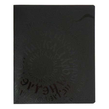 Notebook of 48 sheets in the Erichkrause Lettering cage, cover coated cardboard, OFSET block, 5V, mix-5