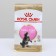 Dry food RC Kitten Main Coon for kittens of large rocks, 400 g