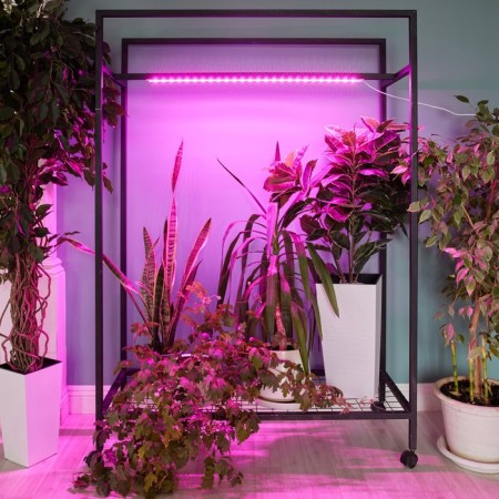 Lamp for plants LED linear, 900 mm Uniel, 14 W, LED, IP65, Color transparent-4
