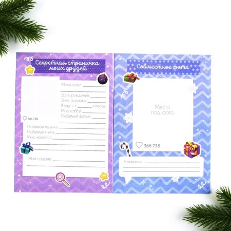 New Year. Questionnaire A5, 16 sheets, soft cover, "cool guy"-4