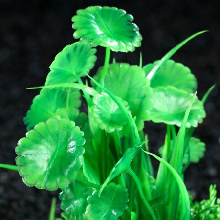 Artificial aquarium plant, 10 cm, green-1