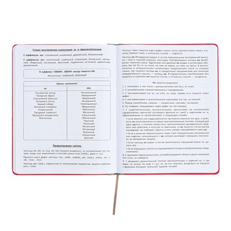 Universal diary for grades 1-11 Excellence, solid cover of artificial leather, silkography, lies, 48 ​​sheets, pink-11