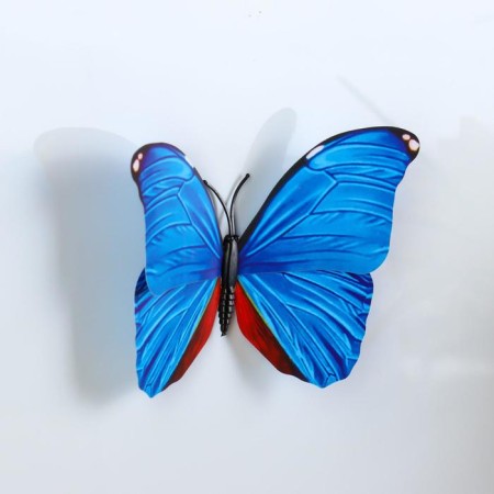 Magnet Plastic "Polored butterfly" mix 8x10 cm-3