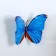 Magnet Plastic "Polored butterfly" mix 8x10 cm