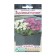 Flower seeds Flower mixture sincere conversation, 6 pcs
