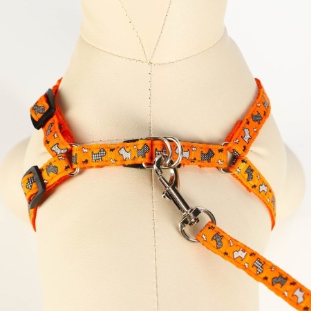 Set "Dogs", leash 120 x 1 cm, og 23-35 cm, orange-3
