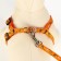 Set "Dogs", leash 120 x 1 cm, og 23-35 cm, orange