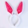 Carnival rim "hare"