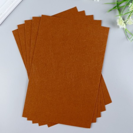 Hard felt 1 mm 20x30 cm St.-1