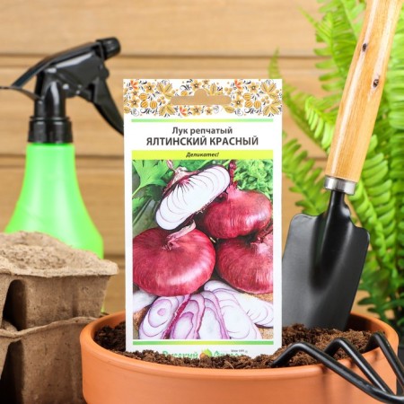 Onions are onion "Yalta red", 0.3 g