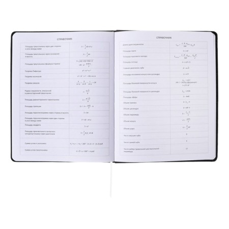 Universal diary for grade 1-11, solid cover, artificial leather, foil embossing, liesse, 80 g/m2-10
