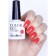 Solomeya color gel aleera gel polish, 8.5 ml