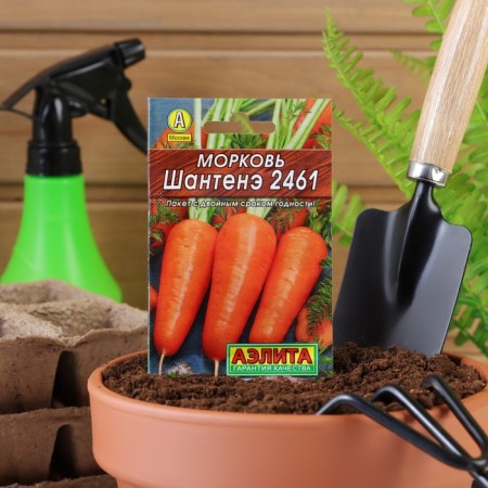 Carrots "Chantenea 2461" "Leader", 2 g,