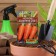Carrots "Chantenea 2461" "Leader", 2 g,
