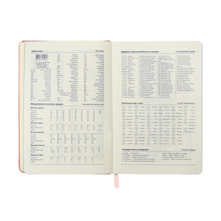 Leduced Diary A5, 140l, Cage, leatherette, elastic band, turquoise slice, peach-8