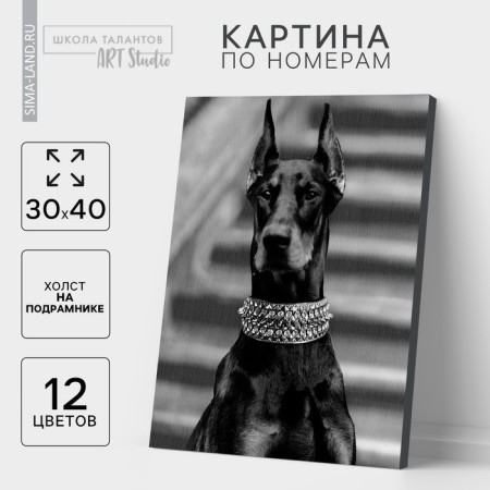 Picture on numbers on canvas with a subframe "Doberman", 30x40 cm