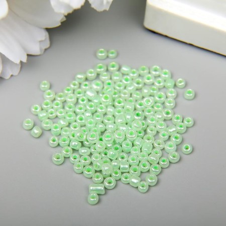 Beads "Zlatka" 08/0 10 g 0144 Light Salad-1