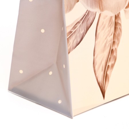 Package "Grace", 140 μm, soft plastic, 24 x 25 x 9 cm-1