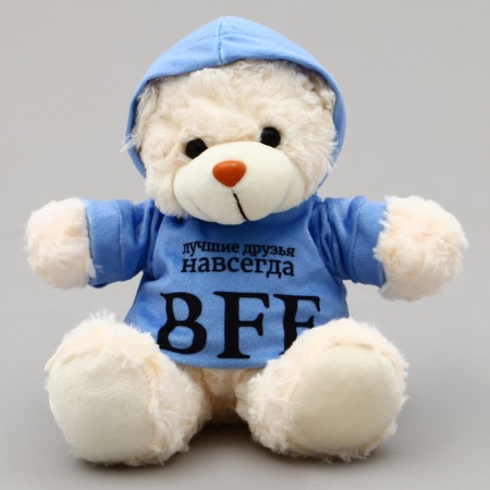 Soft toy Bear "BFF" in the jacket-3
