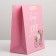 Gift laminated vertical, packaging, “have a nice day”, MS 18 x 23 x 10 cm