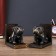 Black bulldogs books with gold set 2 pieces 14x15.5x9 cm