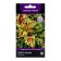 Flower seeds Koleus Byzard Mosaic, 10pcs