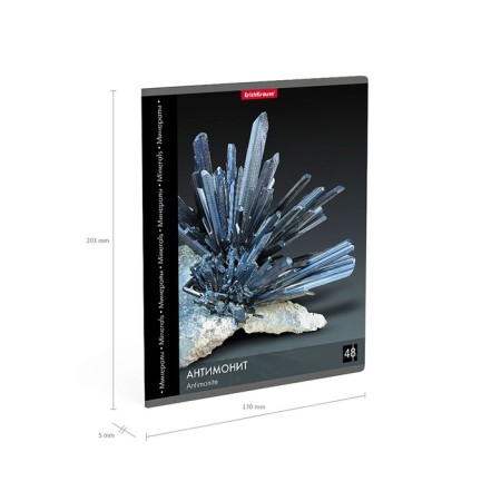 Notebook 48l Erichkrause "Encyclopedia: Minerals", mix-12