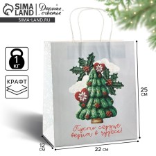 Package Gift New Year's 