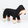 Overalls for animals, without lining, size S, black-orange