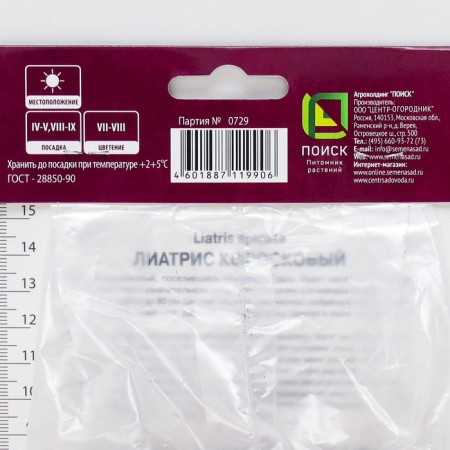 Liatris Koloskoy Alba, 10 pcs, rr 8/10, spring 2025-1