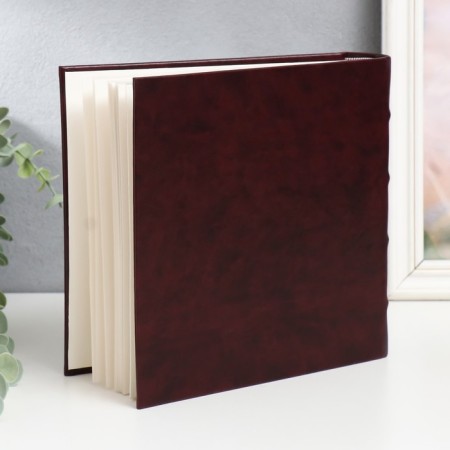Photo album "Classic" 10x15 50 sheets 200 photos-1