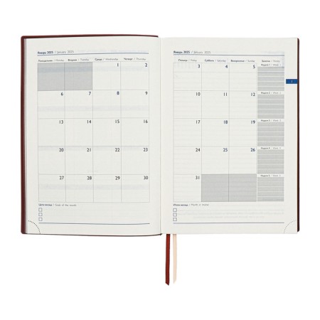 Dated 2025 diary, A5+, 176 sheets of Escalada, soft cover cover, pancake embossing, lies, cream block 70 g/m2, brown-10