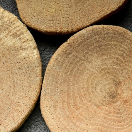 Saw a tree "oak premium", round, d = 5-7 cm, h = 10 mm-2