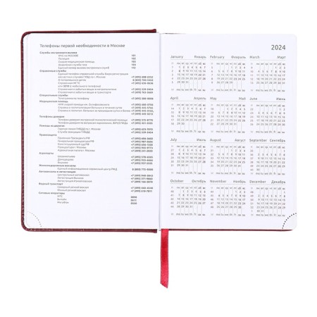 Dated diary 2025 b6 168 sheets, Devente. Wild, a solid cover to leatzers with foam rubber, perforation, liesse, block 70, burgundy-8