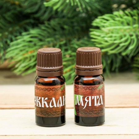 Set 2 aroma machine 10 ml of "good health in the new year!" Eucalyptus, mint-2