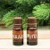 Set 2 aroma machine 10 ml of "good health in the new year!" Eucalyptus, mint