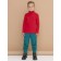 Turtleneck for the boy Pelican, height 92 cm, red color