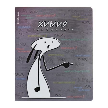 A set of subject notebooks 48 sheets, 12 pieces, Erichkrause "Chubrik", plastic cover silk-screen covers, Blok Offset 100%, information block-13