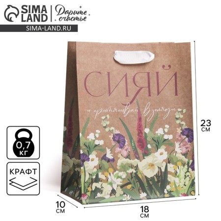 Package Gift Crafts Vertical, Packaging, “Shine”, MS 18 x 23 x 8 cm