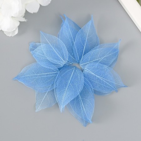Leaves skeletoned for creativity "blue" set 20 pcs h = 6-6.5 cm-2