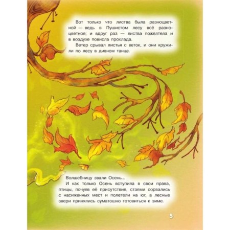 My dear bear. Good where you are. Stankevich S.A.-2