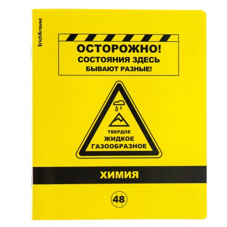 A set of subject notebooks 48 sheets, 12 pieces, Erichkrause "BENFORMED", plastic cover silk-screen cover, OFSET BELICE 100%, info block-3