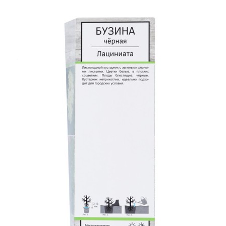 Black Black "Laciniat", 1 pc, tube, spring 2024-1