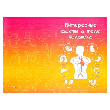 Set for experiments "My amazing body", in the package-2