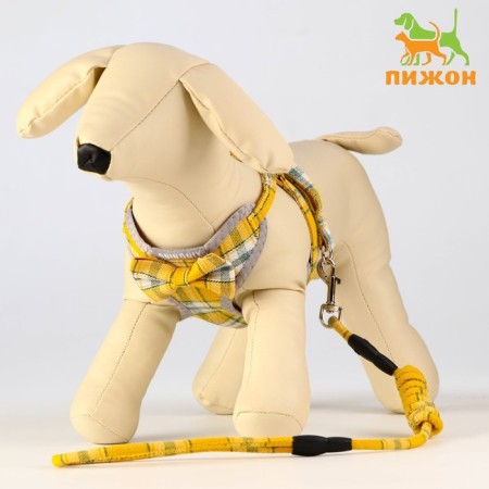 AMUNICE COMMUNICAL with a soft harness, 120 x 1 cm, Osh 28-54 cm, OG 36-60 cm, gray-yellow cage