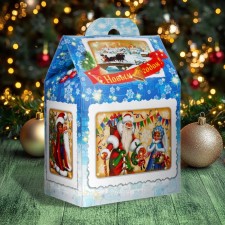 New Year. New Year's gift 